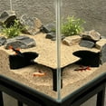 thumbnail image 6 of SouMaox Aquarium Tunnel Decor, Fish Cave Viewing Hideout with Two Holes, Shrimp Hiding Tube for Aquascaping, Fish Ornament, 1.57" x 4.72" x 4.72" Black, 6 of 6