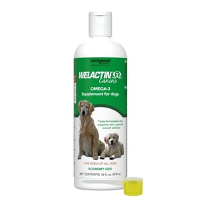 Nutramax Welactin Omega 3 Fish Oil for Dogs, Skin and Coat Health Supplement, Plus Joint, Immune, Kidney, and Brain Support, Premium Omega 3 Fatty Acids, For Dogs of all Sizes, 16 Ounce Liquid