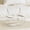Clear S, variant on Laundry Pods Container with Lid, Large Capacity Plastic Laundry Powder Storage Box for Laundry Room Organization