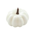 thumbnail image 2 of Calabaza artificial, calabaza de espuma falsa, modelo de calabaza de simulación de cosecha de otoño 65x9cm blanco, 2 of 9