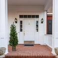 thumbnail image 2 of Celebrations 4 ft. Slim LED 50 ct Mixed Pine Color Changing Entrance Tree, 2 of 3