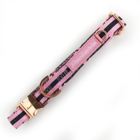 Frenchiestore Breakaway Dog Collar | Pink Varsity