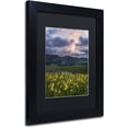 thumbnail image 2 of Trademark Fine Art "Awakening" Canvas Art by Michael Blanchette Photography Black Matte, Black Frame, 2 of 4