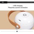 thumbnail image 3 of Mini Portable Rechargeable USB Anti-Bouloches, 3 of 7