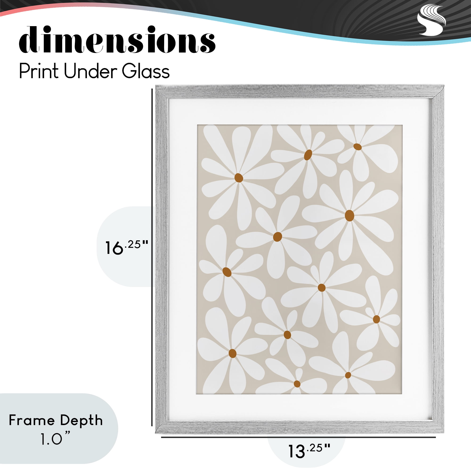 Stupell Industries Beige & White Daisies Gray Framed Print Under Glass, design by Susan Ball