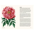 thumbnail image 6 of Little Book of Natural Wonders Peonies: A Little Book of Flowers, (Hardcover), 6 of 6