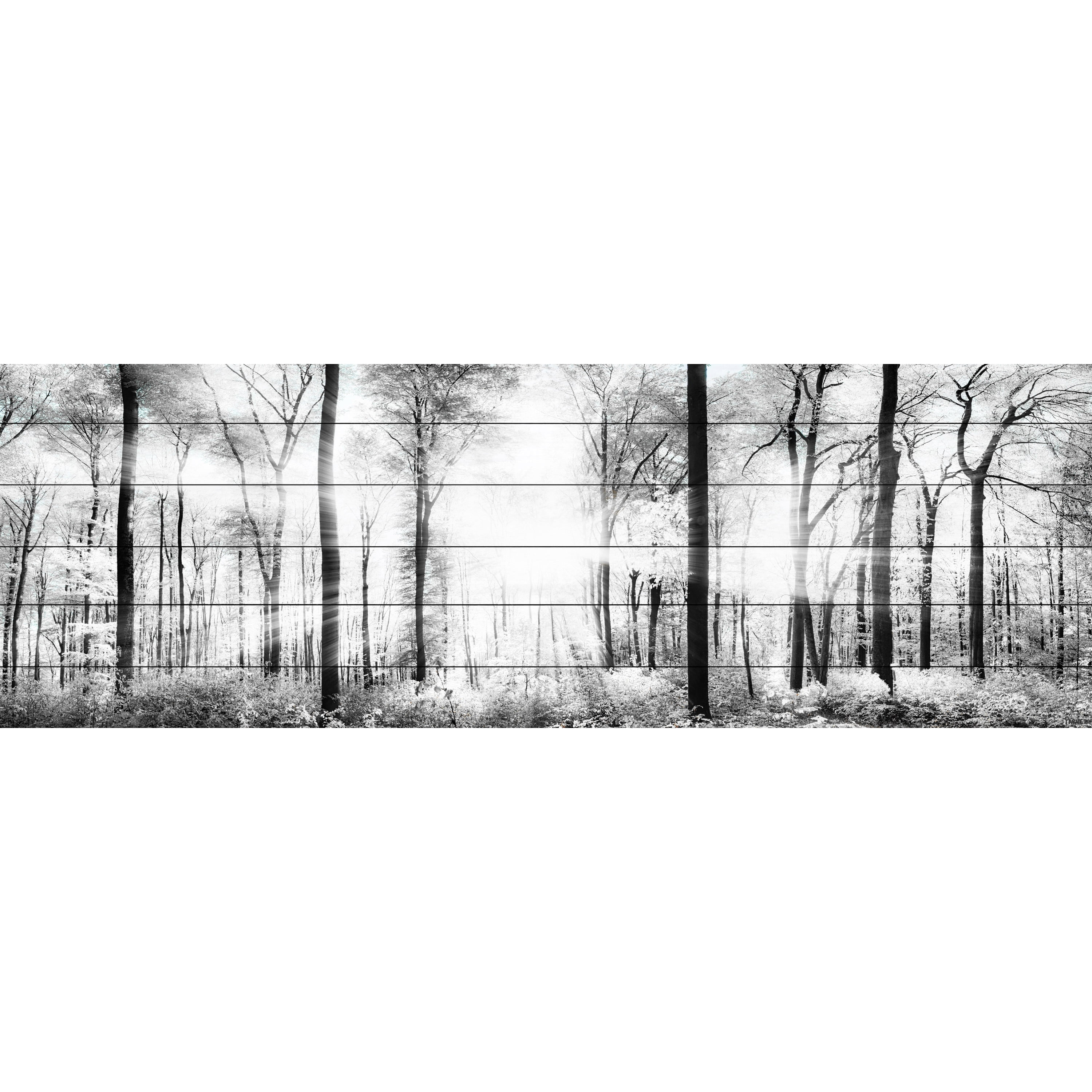 Parvez Taj White Light Forest White Wood Wall Art, 10" x 30"