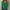 Green1, variant on Clearance! Yajing Women's Pullover Sweaters Loose Ladies Sweater Spring and Autumn One Word Shoulder Exposed Shoulder Hood Jacket Sweater Pullover Sweaters for Women Green L
