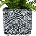 thumbnail image 5 of Northlight 20" Boston Fern Artificial Plant in Weathered Square Planter - Green/Gray, 5 of 6