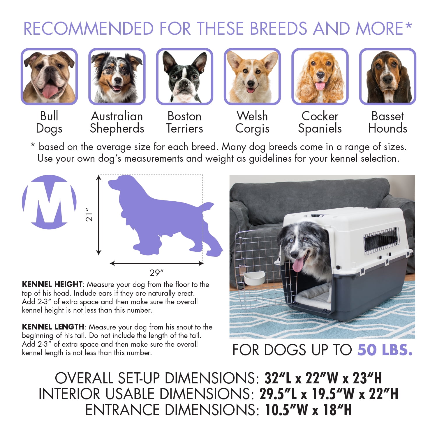 Plastic dog crate sizes best sale