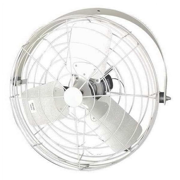 Dayton Air Circulator ,20" Dia.,0.5V,Steel 20B4WV-W-G