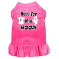 thumbnail image 1 of Here For The Boos Screen Print Dog Dress Bright Pink Med (12), 1 of 1