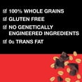 thumbnail image 5 of Healthy Grains Clusters, Dark Chocolate Granola, Gluten Free, 10g Protein, 11 Ounce (Pack of 3), 5 of 5