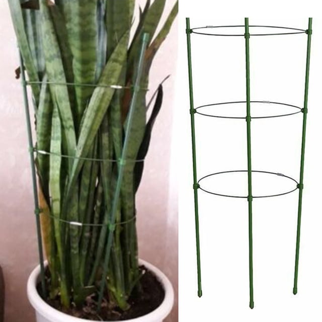 Support de Plante Grimpante Durable 45cm Treillis de Jardin Support de Fleurs de Tomates