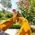 thumbnail image 3 of Guantes largos de jardinería para damas/hombres, guantes resistentes a puñaladas para recortar rosas, 3 of 5