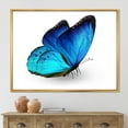thumbnail image 2 of Designart 'Close Up Of Vibrant Blue Butterfly On White' Modern Framed Canvas Wall Art Print, 2 of 5