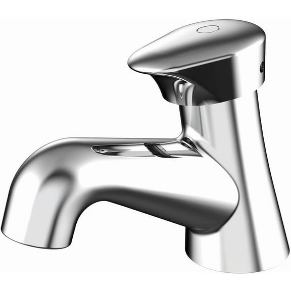 Speakman S-5122 Easy-Push Single Supply Metering Faucet, Polished Chrome