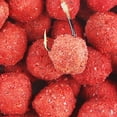 thumbnail image 2 of 30uds. Cebos de pesca Señuelos de atracción de peces portátiles de largo alcance para carpa (grano pequeño), 2 of 3