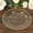 Clear with Gold Glitter, variant on BalsaCircle 10 Dusty Sage Gold 13 in Round Plastic Charger Plates Beaded Rim Party Tableware Wedding Reception Decorations Supplies