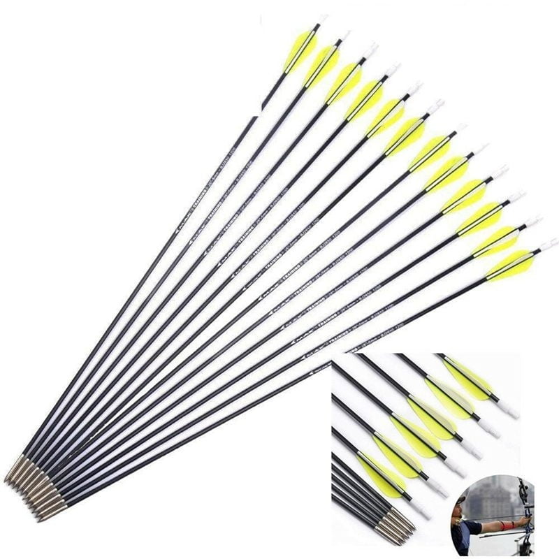 DNA 10 X 26 Inch Black Fibreglass Field Point Archery Arrows for Both Compound Or Recurve Bows 