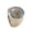 Silver, variant on Women's Stainless Steel Resin Flower Ring Classic Blue Gemstone Polished Band Gold Size 7