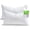 White(pack of 2)-12x20 Inch(Pack of 2), variant on Feathers Down Throw Pillow Inserts 28x28 Set Of 2 Cotton Shell Soft Decorative Euro Insert For Living Room Sofa Couch Or Bed (white)