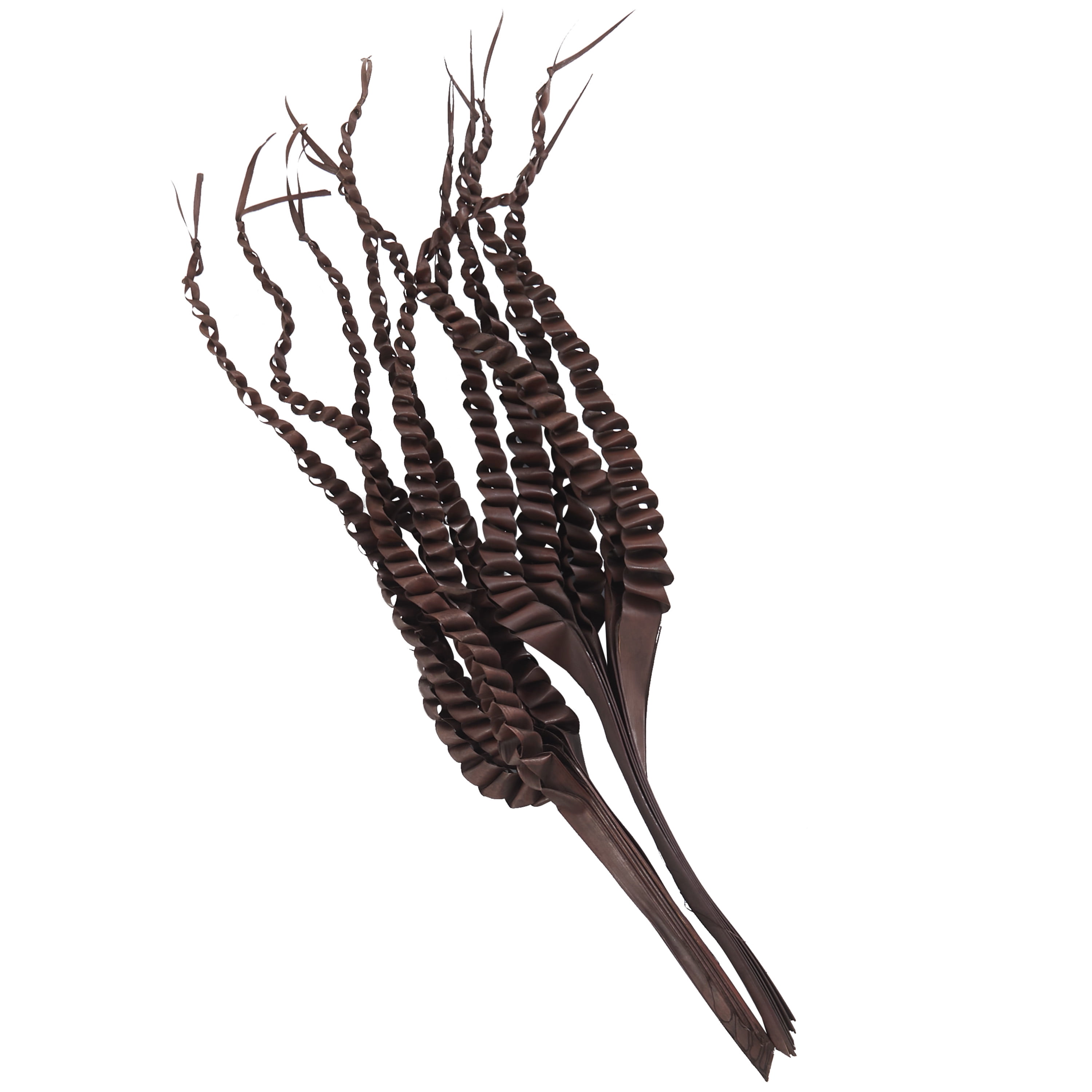 30" Handmade Tall Five Finger Dried Plant Natural Foliage Palm Leaf Bouquet, by DecMode