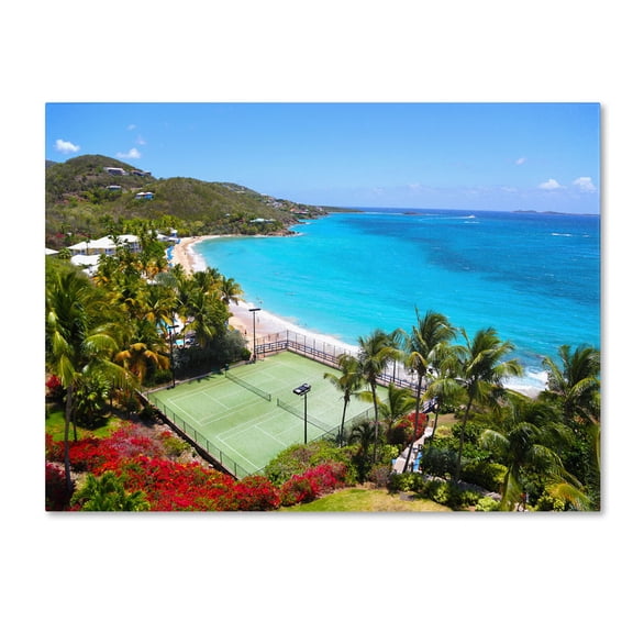 Trademark Fine Art "Virgin Islands 5" Canvas Art by CATeyes