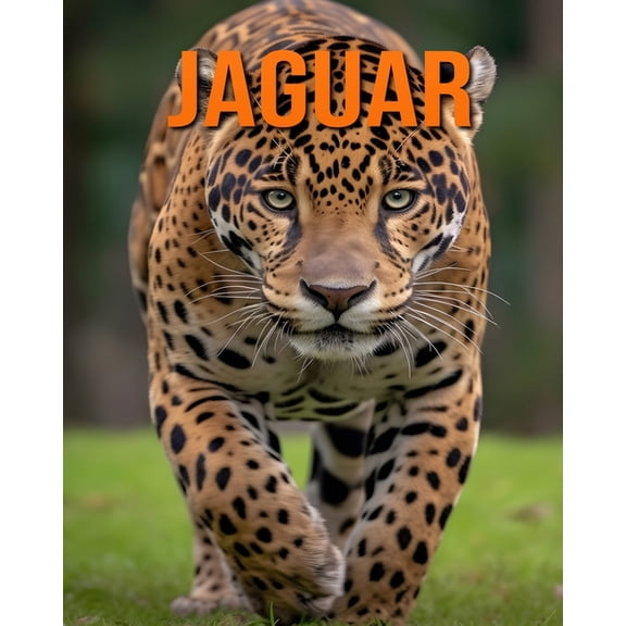 Jaguar: Fun and Fascinating Facts and Pictures About Jaguar, (Paperback)