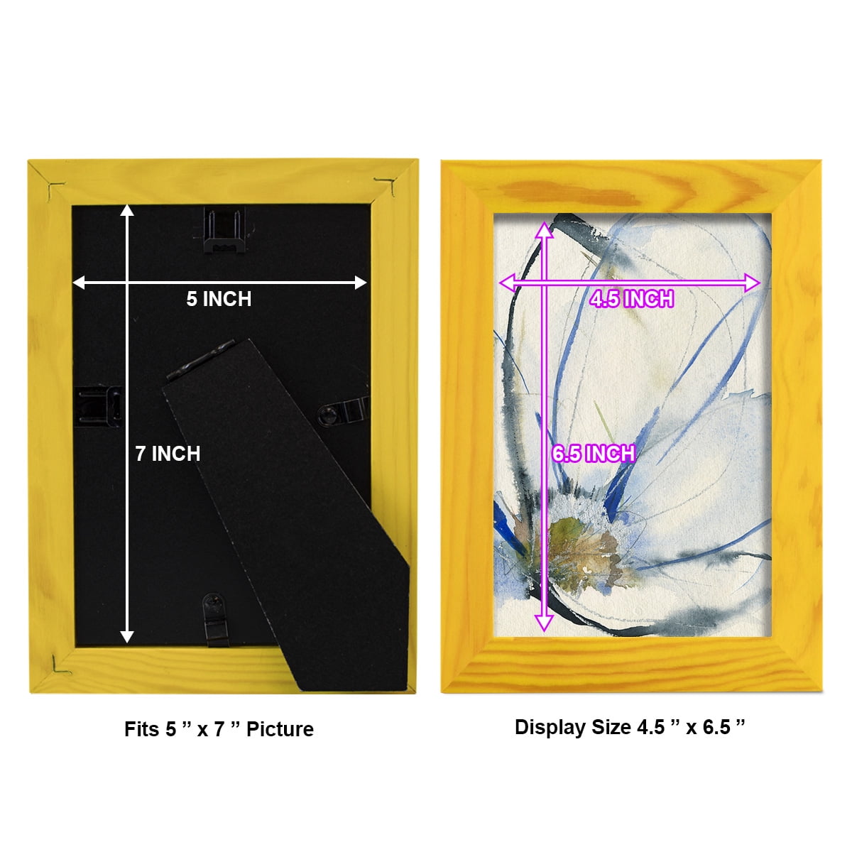 Cobalt & Paynes Petals II - Framed Print w/glass - Sunflower Yellow
