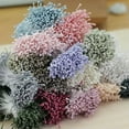 thumbnail image 6 of U8MO 400 Pcs Matte Effect Artificial Flower Stamen Double Round Heads Cotton String-P: Dark Purple, 6 of 7