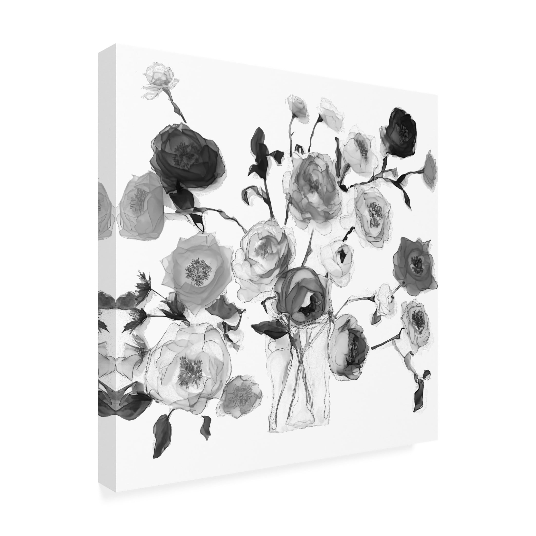 Canvas Wall Art - Sasha 'Yin Yang X' Wall Art for Living Room, Bedroom, or Office Décor by Trademark Fine Art - 18 x 18 Inches