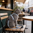thumbnail image 6 of Cat Harness and Leash Set Adjustable No Escape Nylon for Walking Outdoor Safety, H Shape Reflective with Metal Clips, Gradient Colors, 6 of 6