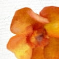 thumbnail image 2 of Kimberly, Allen 12x12 White Modern Wood Framed Museum Art Print Titled - Bold Bloom 2, 2 of 4