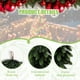 thumbnail image 4 of Ornamentos de Navidad Bolas Flocked 9PC, Juego de 10CM, Cover de Árbol Navideño, Regalo de Navidad, para Decoracin de Navidad, High-Volume, Flocked Balls, Christmas Tree Decoration, Juego de, 4 of 9
