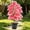 #211Pink, variant on Artificial Potted Plant with Pot PVC Fake Tropical Plant, Realistic Faux Monstera for Home Office Desk Shelf, Lifelike Greenery for Living Room Kitchen and House Decoration Centerpiece
