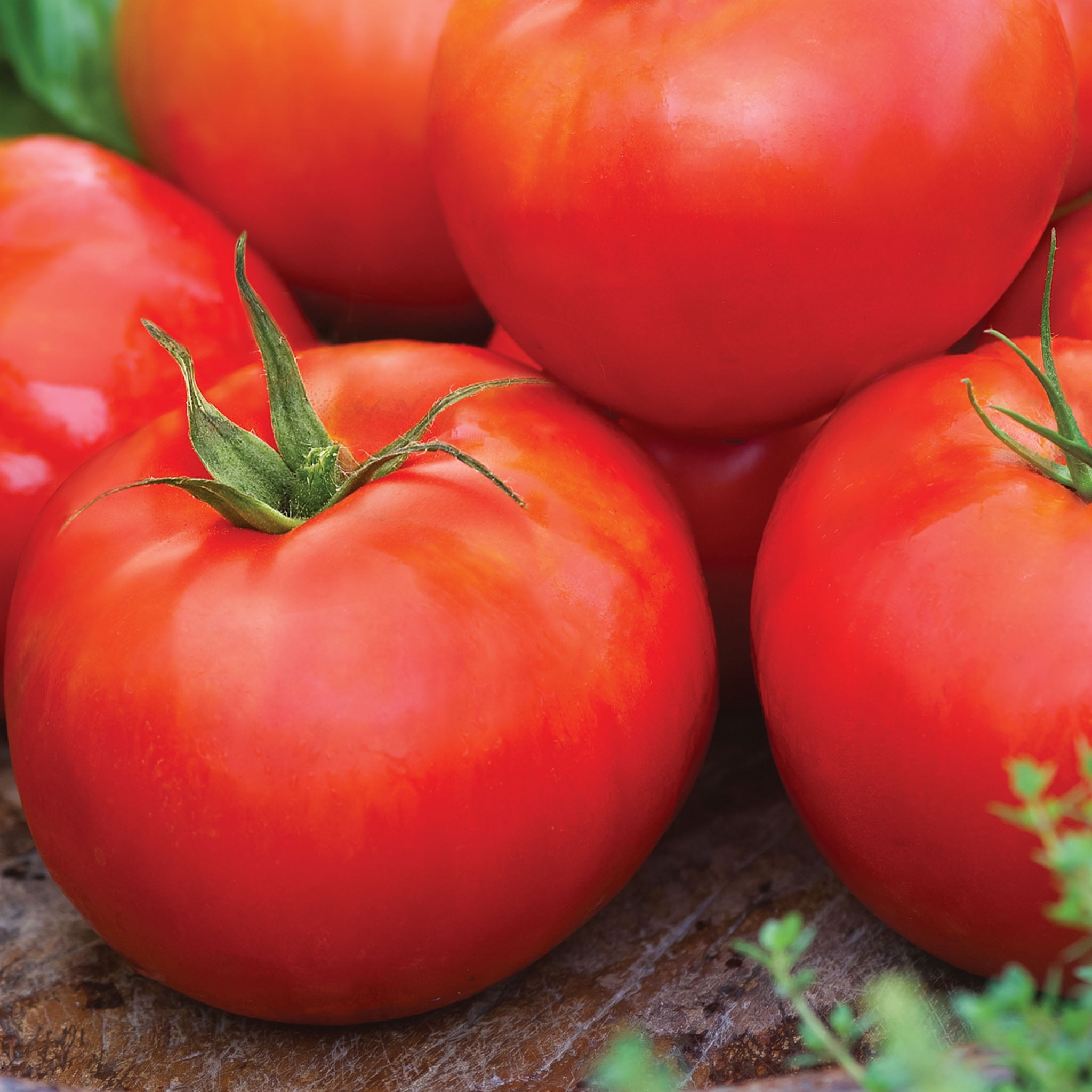 Burpee Big Daddy Hybrid Tomato, Plant Seeds for Home Garden