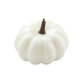 thumbnail image 1 of Calabaza artificial, calabaza de espuma falsa, modelo de calabaza de simulación de cosecha de otoño 65x9cm blanco, 1 of 9