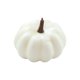 thumbnail image 1 of Calabaza artificial de simulación, mini calabazas de cosecha de otoño para manualidades DIY 65x9cm blanco, 1 of 9