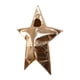 thumbnail image 1 of Disfraz de estrella dorada para disfrazarse, regalo de Navidad con gorra, accesorio para fotos. Capucha para niños M, 1 of 9