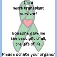 thumbnail image 4 of CafePress - I'm A Heart Transplant Survivor... Ash Grey T Shir - Men's Classic Graphic T-Shirt, 4 of 5