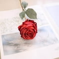 thumbnail image 6 of AUHomi 6PCS Red Artificial Rose – 14.9" Extra Large Faux Rose for Wedding, with Green Leaves, Rose Flower for Indoor Outdoor Event Decoration, Birthday Parties Décor, 6 of 9