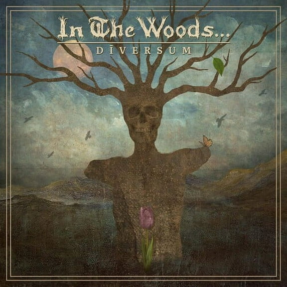 In the Woods... - DIVERSUM - Music & Performance - CD