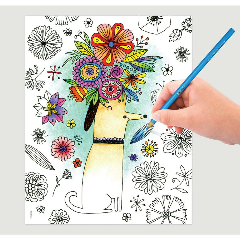Colored Pencils with Adult Coloring book- Colored Pencils for Adult  Coloring 50 Count  Coloring Books with Coloring Pencils. Premium Artist  Coloring Pencils with coloring books for adults relaxation. - Yahoo Shopping