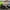 Black, variant on Joyracer 24V Ride on Toys w/ Remote Control, 4WD Powered Electric UTV with 4*200W Motors, Larger Seat 4 Wheeler with LED Light, Bluetooth, Music, Spring Suspension, 3 Speeds, Black