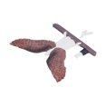 thumbnail image 4 of Angel Wing Statues Decoration Tridimensional Resin Crafts Background Ornaments for HomeBrown L 20, 4 of 4