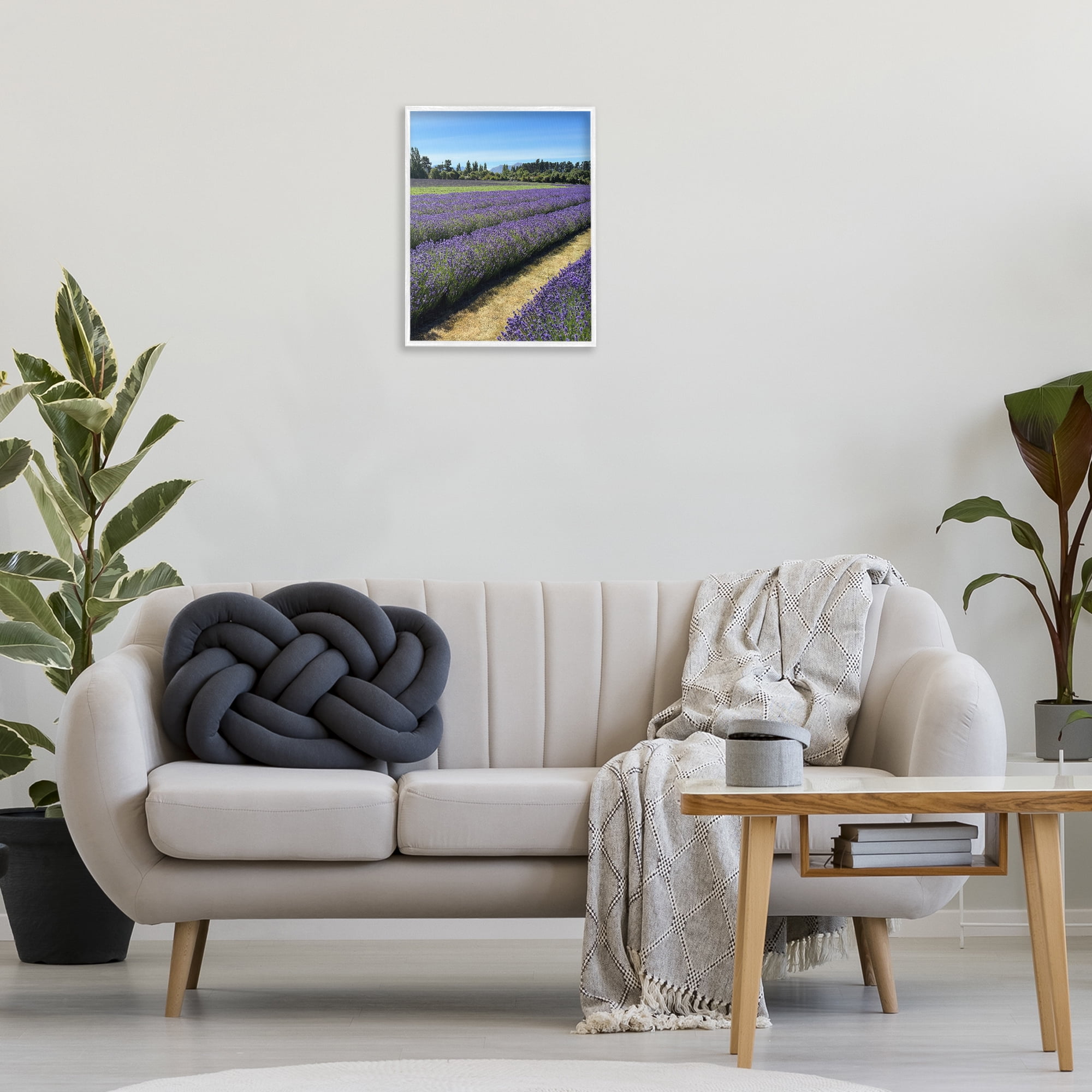 Stupell Industries Lavender Path Landscape Landscape Photography White Framed Art Print Wall Art, 16 x 20