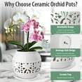 thumbnail image 6 of EFISPSSS 6 inch ceramic orchid pot with hole and tray -Peacock White, 6 of 7