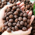 thumbnail image 4 of 100g Hydroponic Clay Pebbles, pH Neutral Expanded Clay Rocks for Orchid & Plant Growth, Reusable, Inert & Clean Growing Medium for Hydroponics and Gardening, 4 of 5