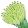 thumbnail image 3 of 200PCS Eyelash Brush Disposable Mascara Brush Wand for Lashes Spoolie brushes Eyebrow Spoolie Eyelash Extension Supplies (Green), 3 of 5